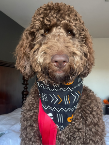 Nzuri Dog Bandana